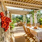 Trulli Altomare * Alliste